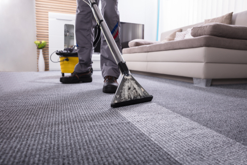professional cleaner steaming carpet in a living room